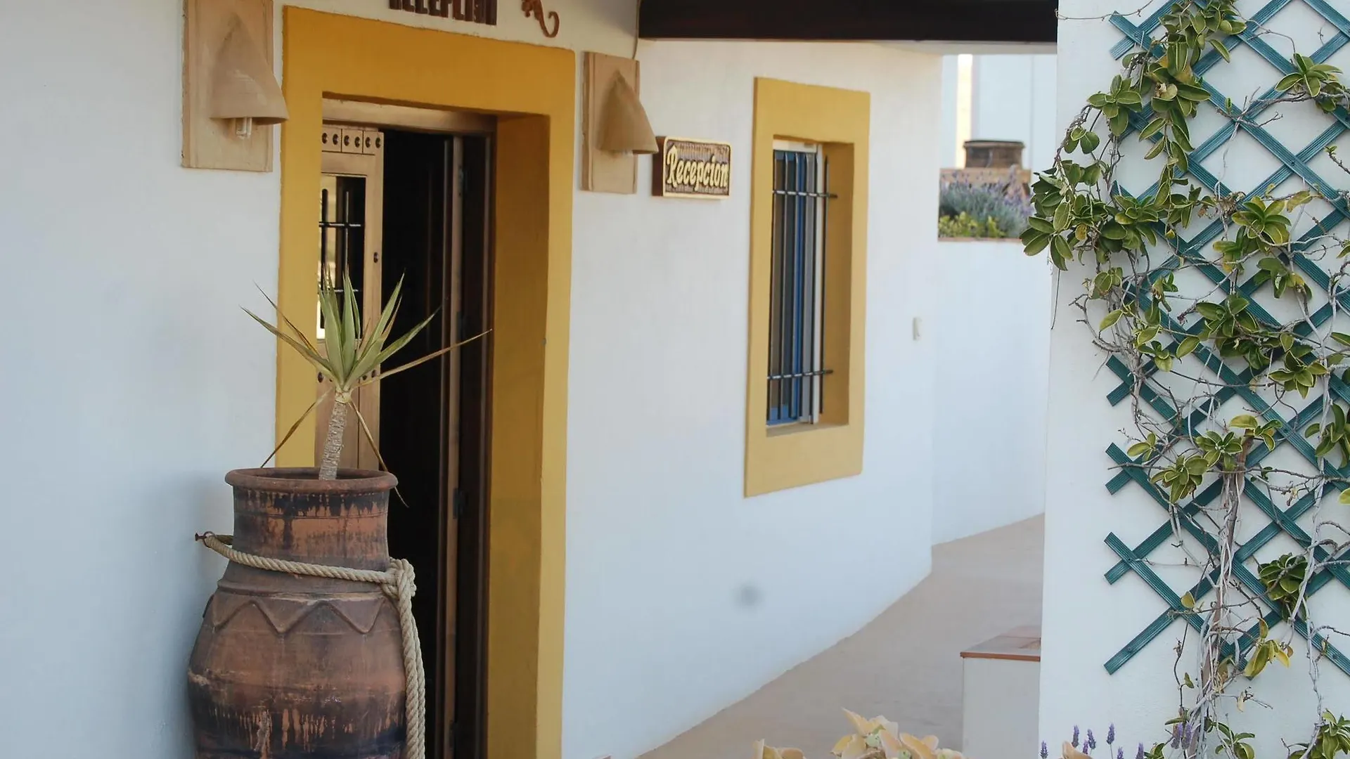 Guest house Hostal El Dorado San Jose